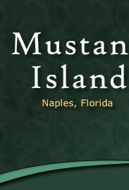 Mustang Island